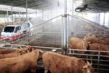 [포토]광주시 북구, 구제역 예방 방역 활동 실시