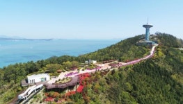 꽃잔디 철쭉으로 붉게 물든 완도타워 다도해일출공원