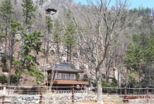 강진군민이 함께하는 숲속의 전남만들기  앞장