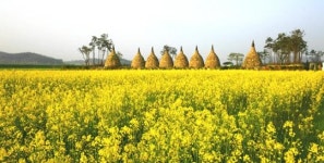 영광군 설레는 봄 여행 주간 운영