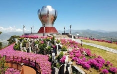 광양시 국사봉에 이어 구봉산 전망대에도 분홍빛 철쭉으로 물들어