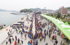 완도 장보고 수산물 축제 안전 먼저 챙긴다!