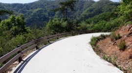 영광군 임도구조개량 정비사업 추진으로 산림보호 및 산림복지 기반 향상