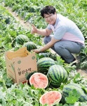 담양 ‘봉산수박’ 꿀맛이네 꿀맛