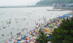 ‘보성율포솔밭해수욕장’ 7월 7일 개장