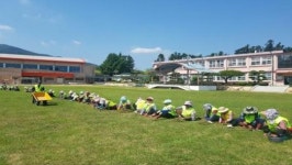 장흥군 장동면 노인일자리 장동초등학교 환경 정화 나서