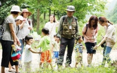 국내 최대 조림지 강진 초당림서 숲속 힐링 체험하세요