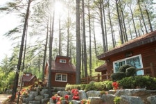 광양시 백운산자연휴양림 여름 성수기 예약 인기 폭주