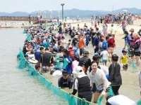 함평군 돌머리해수욕장 13일 개장