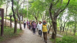 영광 물무산 행복숲 1530 노르딕 건강걷기 참여하세요
