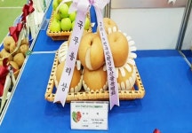 전남도, 친환경 유기농 박람회서 전국 최고 인정 