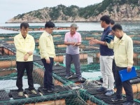 전남도, 신안 고수온 피해 신속 복구 총력