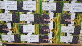 두레청과(주), 광주시 서구 지역 복지관에 통큰 과일 선물