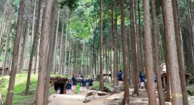 장흥군, 걷기만 해도 힐링~ ‘우드랜드 사색의 숲’