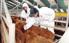 장성군,  AI구제역 방역 선제 방역활동 추진