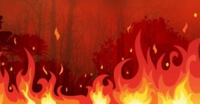 일산오픈하우스원룸텔 | 한 중국인이 일산 고시원에서 불 지르고 투숙객 때린 '황당한' 이유
