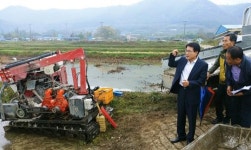 강진군, 연근 수확작업 한창~ 가공·유통 활기
