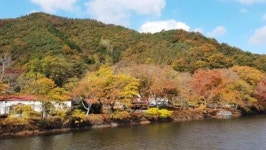 화순 동복 연둔리 숲정이에서 가을 단풍을 즐기세요