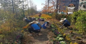 서구 자원봉사센터, ‘공촌천아! 사랑해~’ 사업 전개
