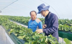 함평군 농업인 상담소, 12년만에 부활~농업인들 큰 호응
