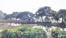 함평군, ‘원곡마을 전통마을숲’ 전라남도 전통마을 숲 콘테스트 최우수상 수상 