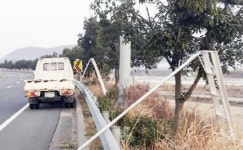 강진군, 국도 2호선(영암 ~ 장흥 간) 4차선 가시나무길 정비완료