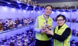 오래된 아파트 지하에 ‘희망 버섯’이 자란다