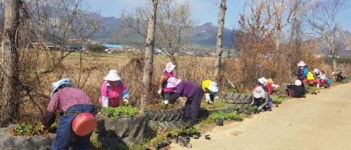 강진군 도암면 2019년 노인일자리사업 신청 시작