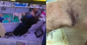 강아지 목 잡고 미용하는 미용사... 인천 동물병원 미용 사건