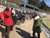 진도군, 관광객 유치 여행사 인센티브 지원