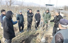 구례군, 과수 정지전정 전문농업 양성교육 실시