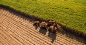 캐나다서 농장 일꾼으로 고용된 중동·동남아인들에게 벌어진 일