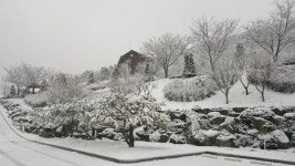 석모도 자연휴양림, 수도권 최고 휴양지 인기몰이