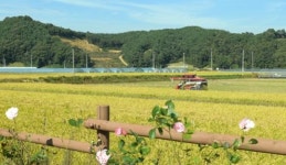 장성군, 토양개량제 공급부터 살포까지 ‘무상지원’