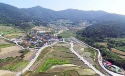 완도 청산도 구들장논 복원‧정비 사업 추진!