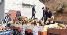 보성군 벌교읍, “사랑의 땔감” 5톤 나눔 봉사 펼쳐 