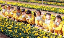 강진군농업기술센터 꽃 육묘장으로 봄 나들이 나선 어린이들 
