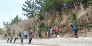신안군 하의면, 동백나무 심기행사로 손님맞이 준비 한창