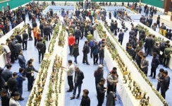 함평군, 2019 대한민국 난 명품 대제전 개최