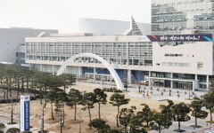 광주시, 청사 앞 소나무숲 확대 조성
