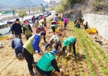 여수시 만덕동, 봄 향기 가득