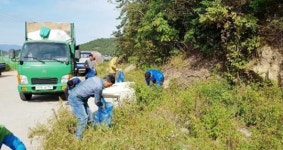 완도군 약산면, 약산진달래･흑염소 축제 준비 한창