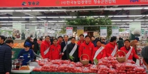 청송군 농업인들, 직접 나서 청송사과 홍보 총력