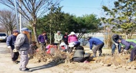 곡성군, 마을 주민이 직접 만드는 행복한 꽃길 조성