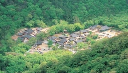  전남창조경제혁신센터, 해남 봄 힐링여행 판매 