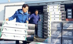 강진산 수국꽃 일본 수출 시작