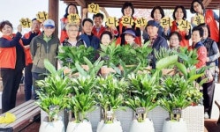 광주시 광산구 신창동 지사협, 반려식물 만들기 행사