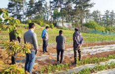 강진군, 영농철 현장방문을 통한 영농기술 지원
