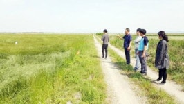 장흥군, 대규모 조사료 생산단지 육성 ‘박차’