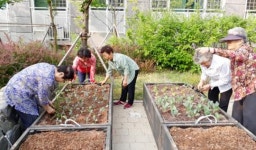  광주시 남구, 신촌‧월산마을 경로당 등 6곳에 텃밭 상자 22박스 보급